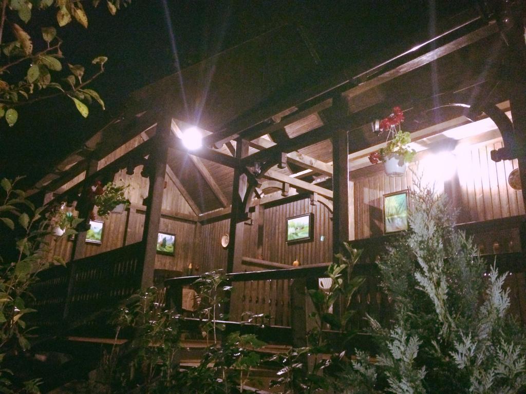 Casa Cu Cerdac Hotel ซิวิโชอารา ภายนอก รูปภาพ