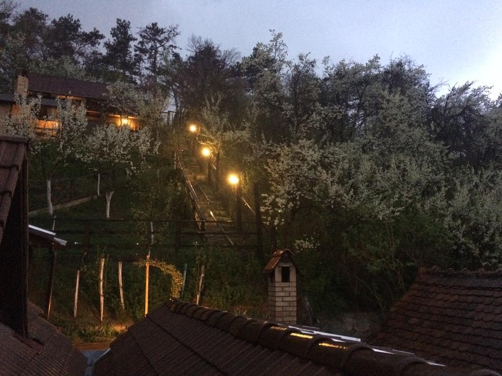 Casa Cu Cerdac Hotel ซิวิโชอารา ภายนอก รูปภาพ